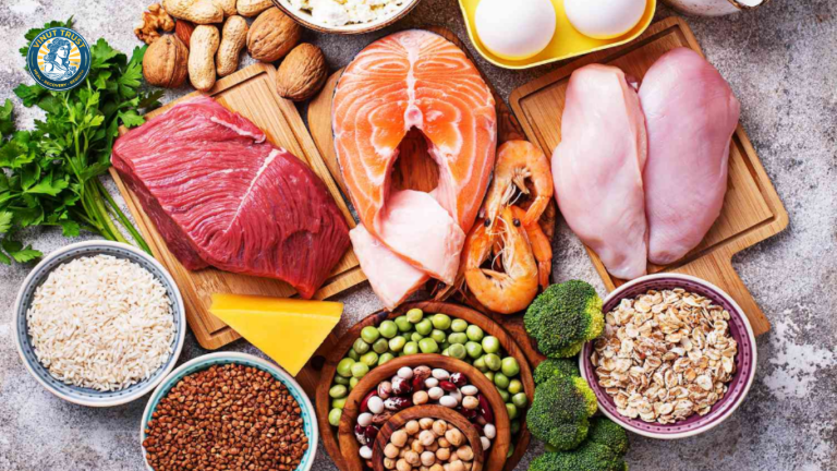 Vinut Trust_Làm sao để bổ sung protein cho bé?