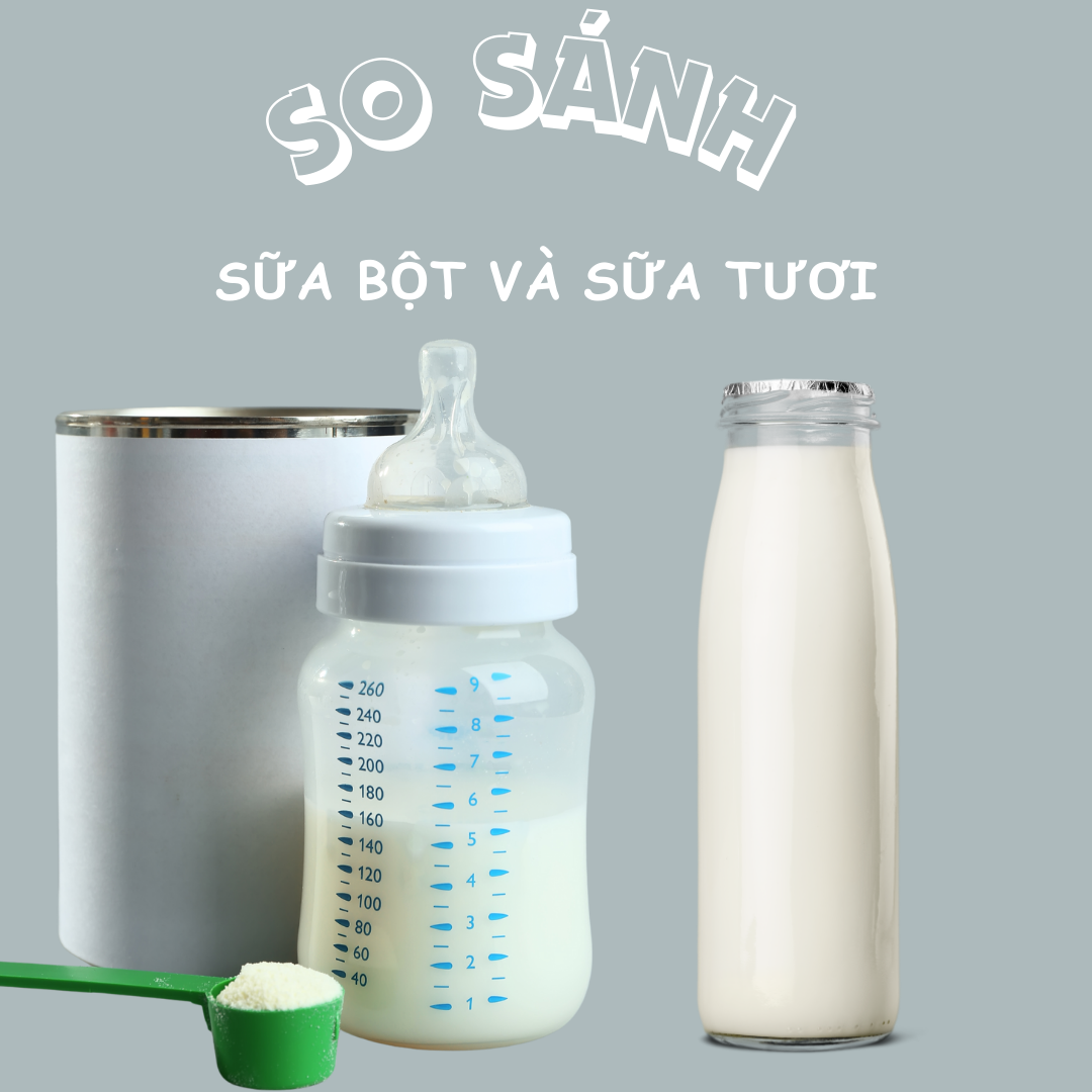 Vinut Trust_So sánh sữa bột và sữa tươi