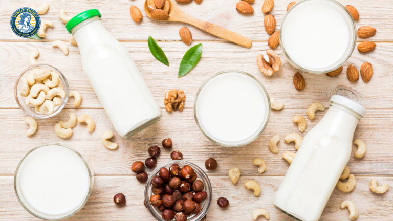 Vinut Trust_Lactose là gì