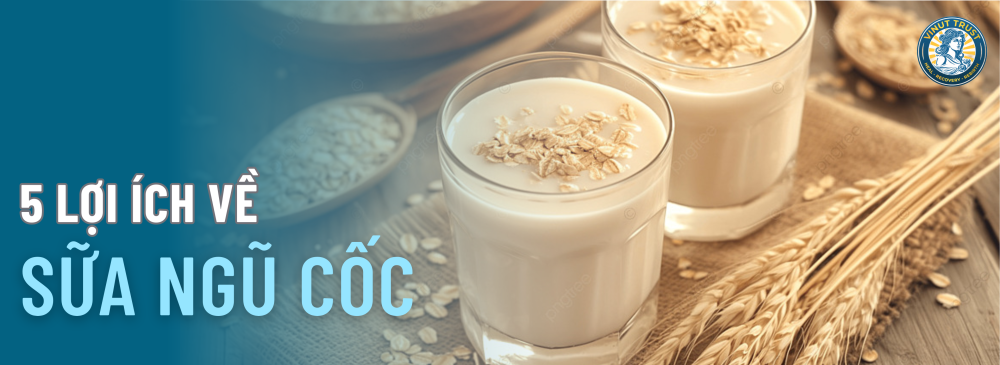 Vinut Trust_5 lợi ích về sữa ngũ cốc