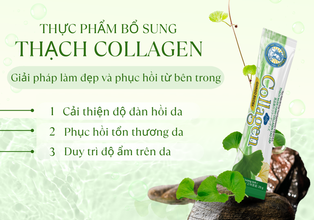 Vinut Trust_Thạch Collagen Giải pháp làm đẹp và phục hồi từ bên trong